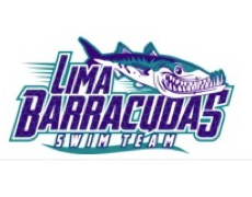 Swim team logo